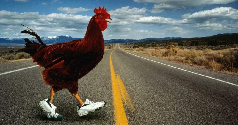 Spain - chicken road
